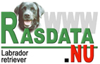 Information om Labrador retriever från Rasdata.nu